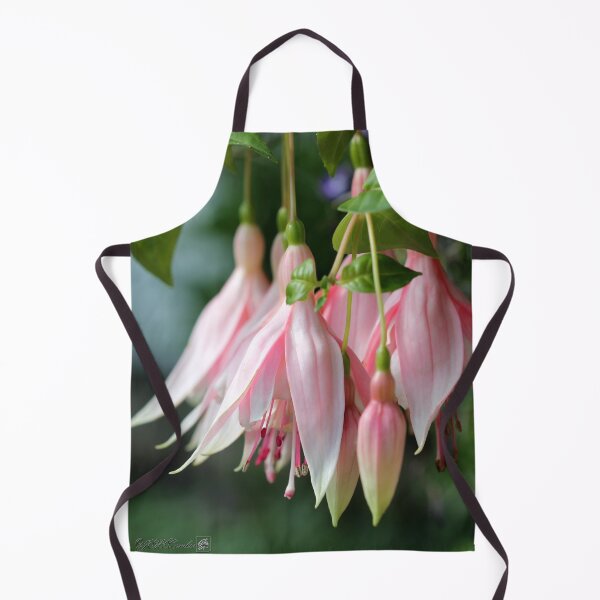 Item preview, Fuchsia named Sophisticated Lady designed and sold by JMcCombie.
