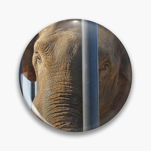 Item preview, big boy elephant designed and sold by pcfyi.