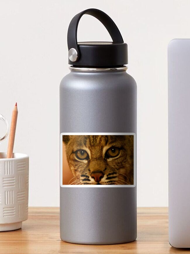 Thumbnail 1 of 3, Sticker, The Eyes of a Hunter designed and sold by steppeland.