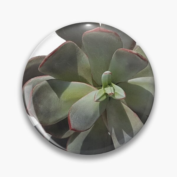 Item preview, Succulent - Echeveria - Sugar Paste designed and sold by TASHHOFER.