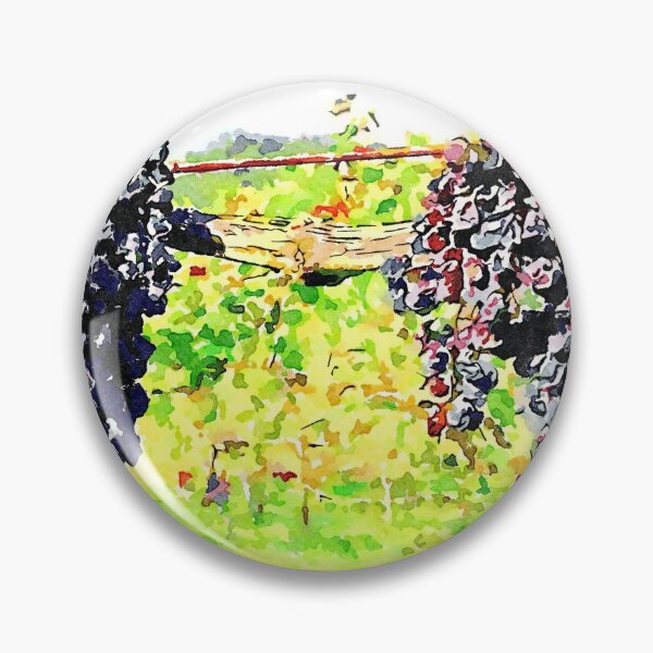 Item preview, Hortus Conclusus: bunches of black grapes in the vineyard designed and sold by Giuseppe Cocco.