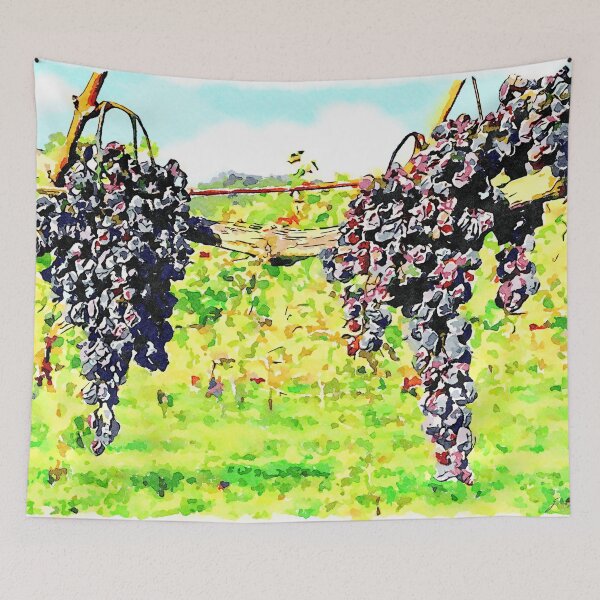 Item preview, Hortus Conclusus: bunches of black grapes in the vineyard designed and sold by Giuseppe Cocco.
