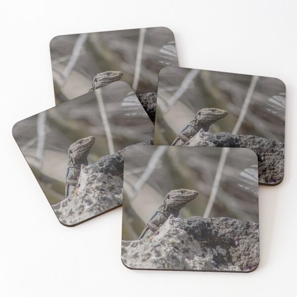 Item preview, Canarian lizard on a rock designed and sold by DKDesignShirts.