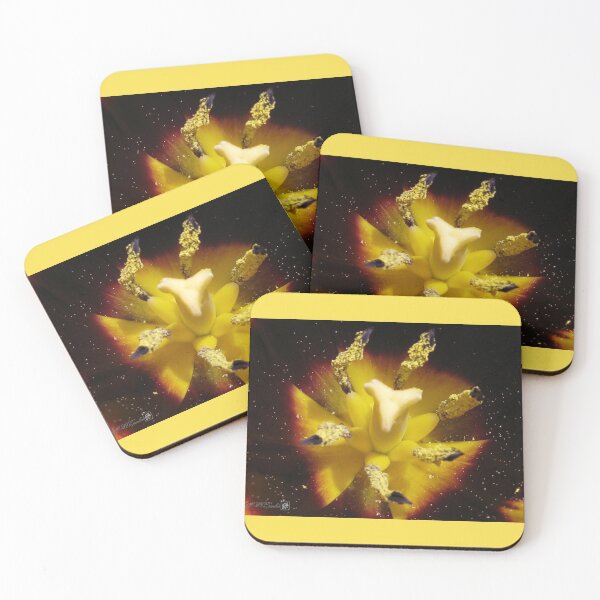 Item preview, Triumph Tulip named Gavota designed and sold by JMcCombie.