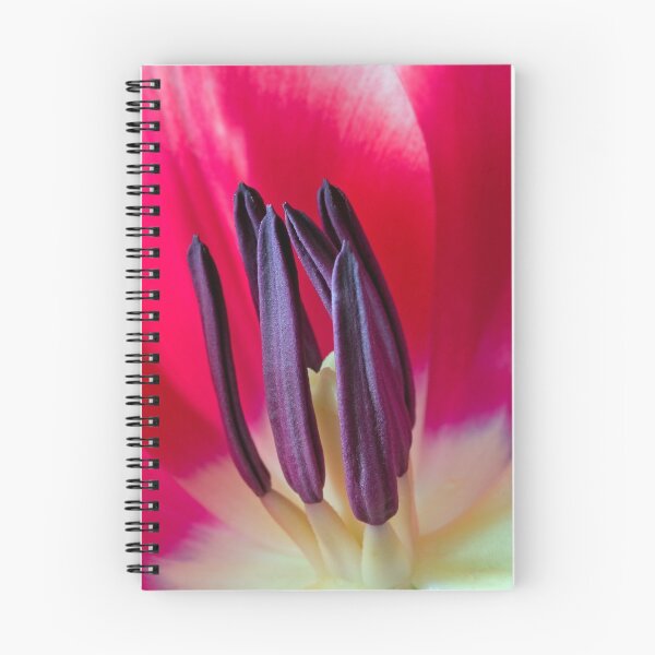 Aperçu de l'œuvre À l'intérieur de la tulipe créée et vendue par creativeography.