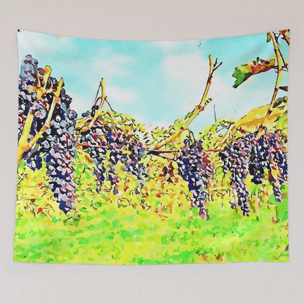 Item preview, Hortus Conclusus: bunches of black grapes in the vineyard designed and sold by Giuseppe Cocco.