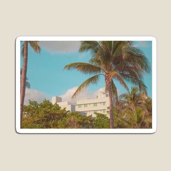 Miami House and Palm Tree Magnet