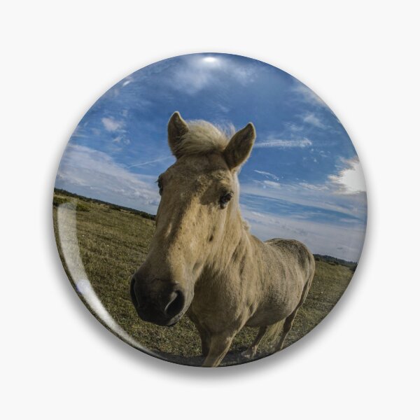 Item preview, Crazy Horse fisheye photo designed and sold by DKDesignShirts.