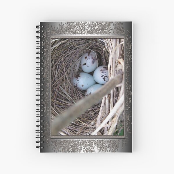 Aperçu de l'œuvre Four Red-Winged Blackbird Eggs créée et vendue par JMcCombie.