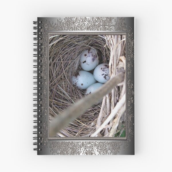 Item preview, Four Red-Winged Blackbird Eggs designed and sold by JMcCombie.