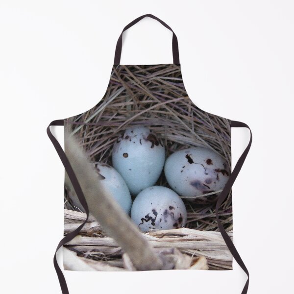 Item preview, Four Red-Winged Blackbird Eggs designed and sold by JMcCombie.