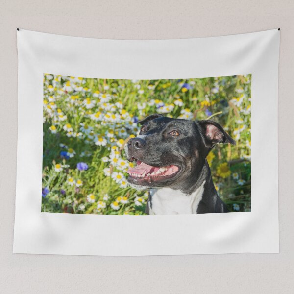 Artikelvorschau, Demi Doggo entworfen und verkauft von parrphotography.