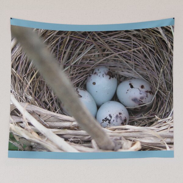 Artikelvorschau, Four Red-Winged Blackbird Eggs entworfen und verkauft von JMcCombie.