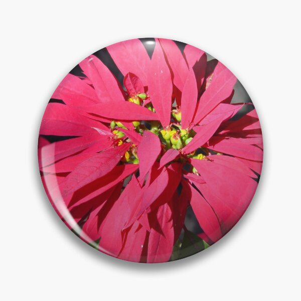 Item preview, Poinsettia-Buena Noche designed and sold by pcfyi.