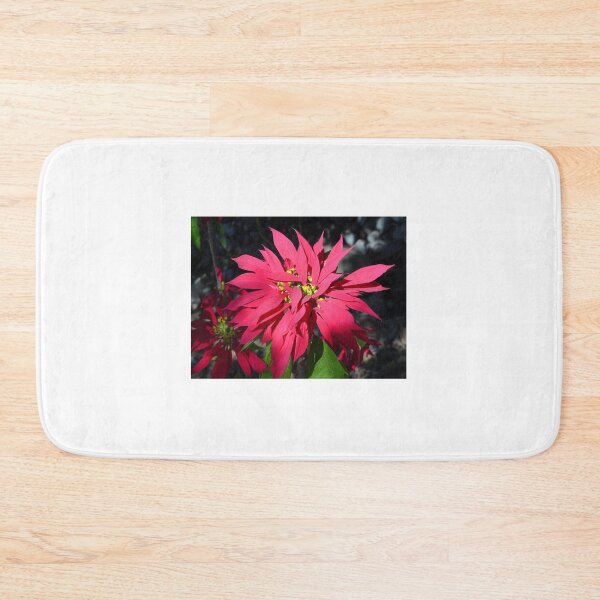 Item preview, Poinsettia-Buena Noche designed and sold by pcfyi.
