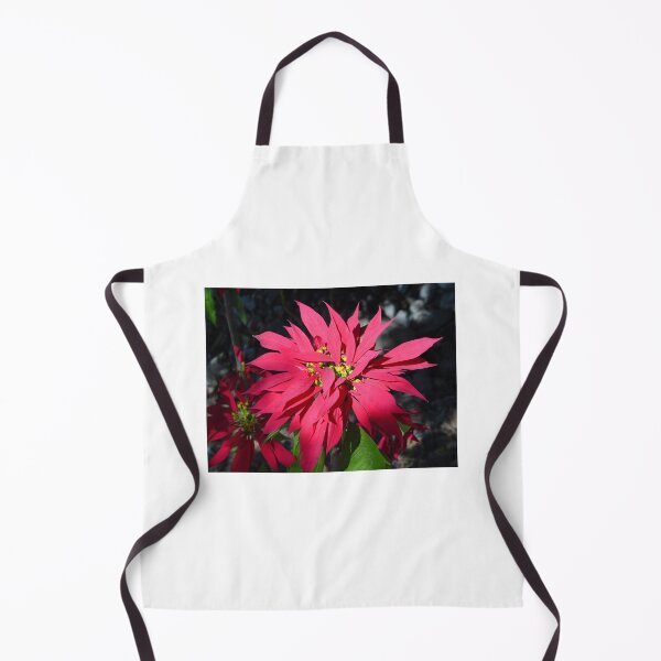 Item preview, Poinsettia-Buena Noche designed and sold by pcfyi.