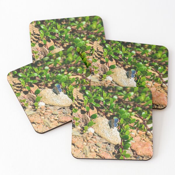Item preview, Tiny butterfly on a stone. designed and sold by Alvisen.