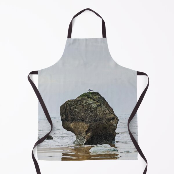 Item preview, Seagull on a Rock (original photo) designed and sold by Grace Feucht.