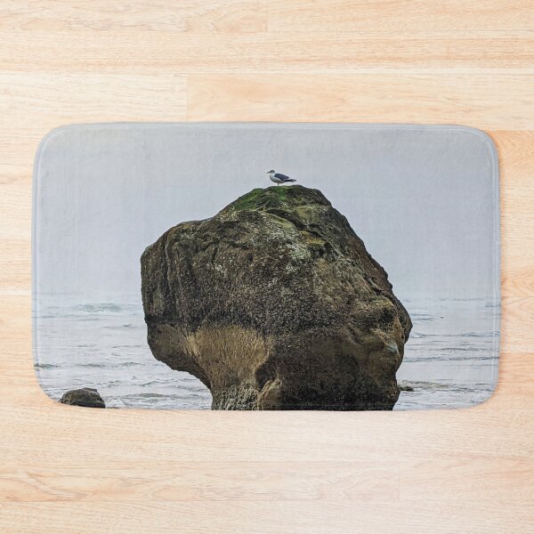 Item preview, Seagull on a Rock (original photo) designed and sold by Grace Feucht.
