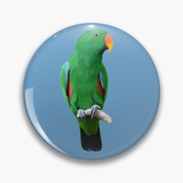 Item preview, Male Eclectus Digital Parrot Painting  designed and sold by Zurickdesigns.
