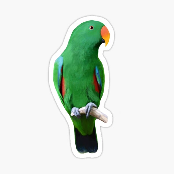 Item preview, Male Eclectus Digital Parrot Painting  designed and sold by Zurickdesigns.