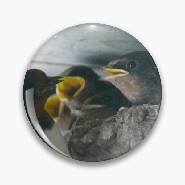 Item preview, Hungry Birds getting food. designed and sold by Alvisen.
