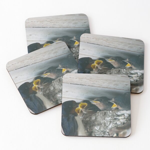 Item preview, Hungry Birds getting food. designed and sold by Alvisen.