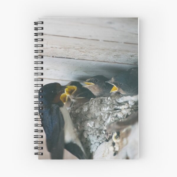 Item preview, Hungry Birds getting food. designed and sold by Alvisen.