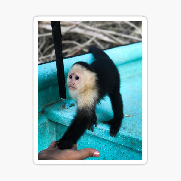 Monkey Friend Sticker