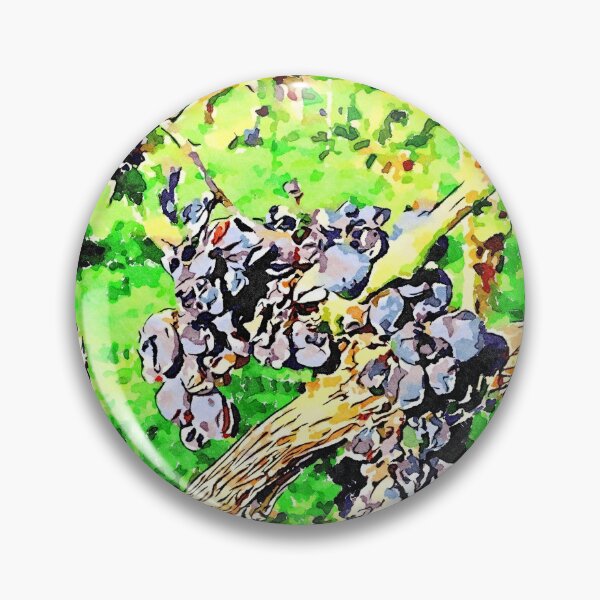 Item preview, Hortus Conclusus: black grapes on the branches in the vineyard designed and sold by Giuseppe Cocco.