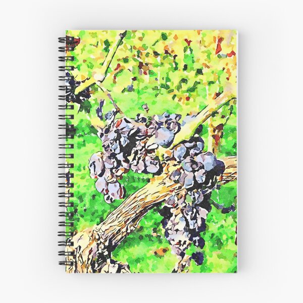 Item preview, Hortus Conclusus: black grapes on the branches in the vineyard designed and sold by Giuseppe Cocco.
