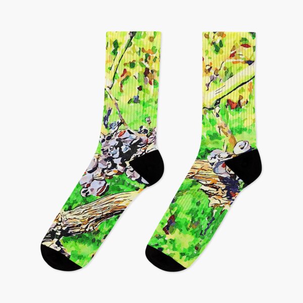 Item preview, Hortus Conclusus: black grapes on the branches in the vineyard designed and sold by Giuseppe Cocco.