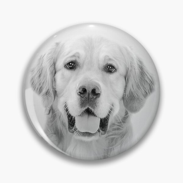 Artikelvorschau, Golden Retriever Hund - BW Vintage - D38 entworfen und verkauft von DecoVintage.