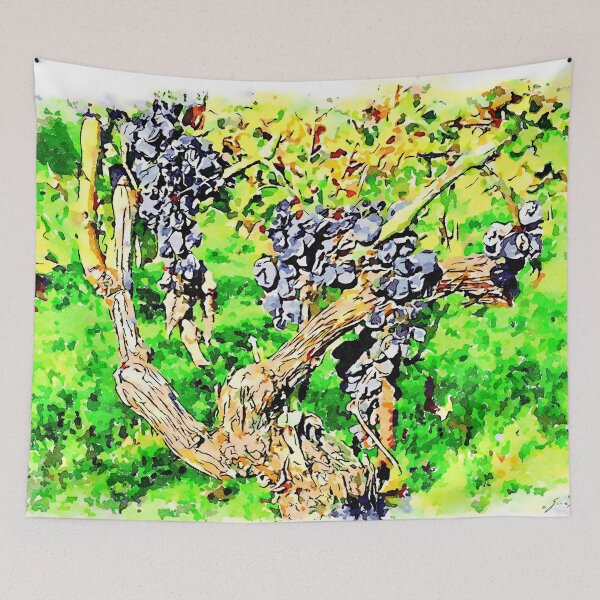 Item preview, Hortus Conclusus: black grapes on the branches in the vineyard designed and sold by Giuseppe Cocco.