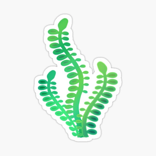 "Seaweed for Aquarium" Sticker by estherjester Redbubble