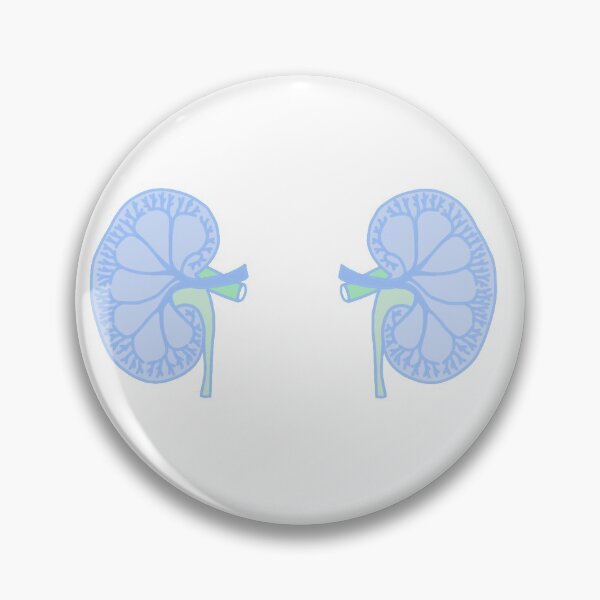 Item preview, Kidneys designed and sold by Sarahgranchelli.