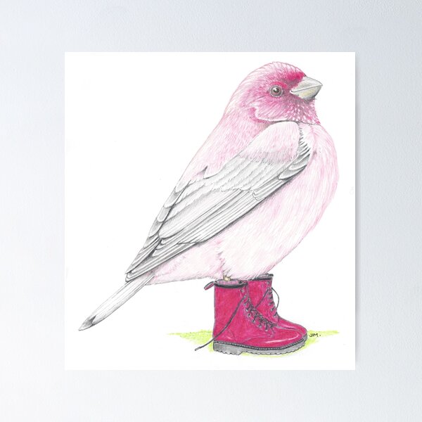 Item preview, Rosefinch in Pink Boots designed and sold by JimsBirds.