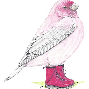 Artwork thumbnail, Rosefinch in Pink Boots by JimsBirds