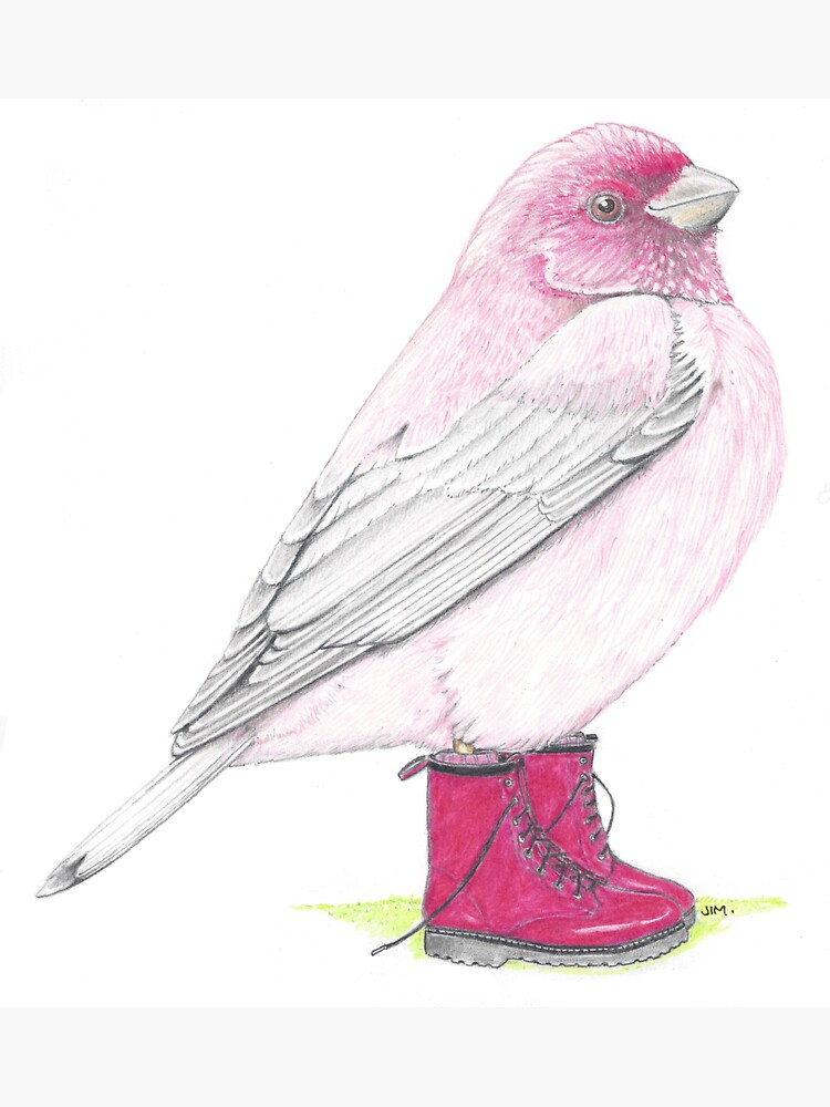 Thumbnail 3 of 3, Sticker, Rosefinch in Pink Boots designed and sold by JimsBirds.