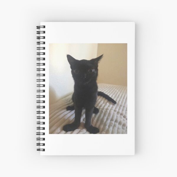 Big Foot Jinx Spiral Notebook