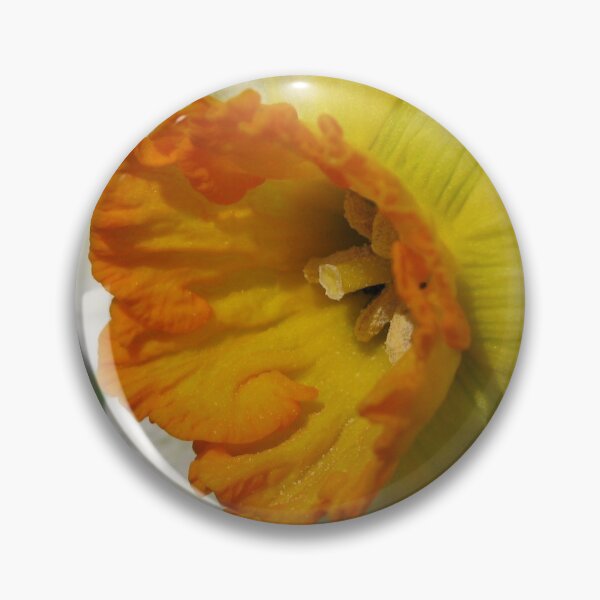 Item preview, Small-Cupped Daffodil named Barrett Browning designed and sold by JMcCombie.
