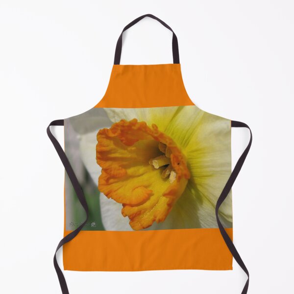 Item preview, Small-Cupped Daffodil named Barrett Browning designed and sold by JMcCombie.
