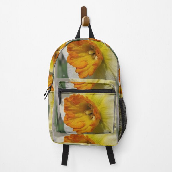 Item preview, Small-Cupped Daffodil named Barrett Browning designed and sold by JMcCombie.