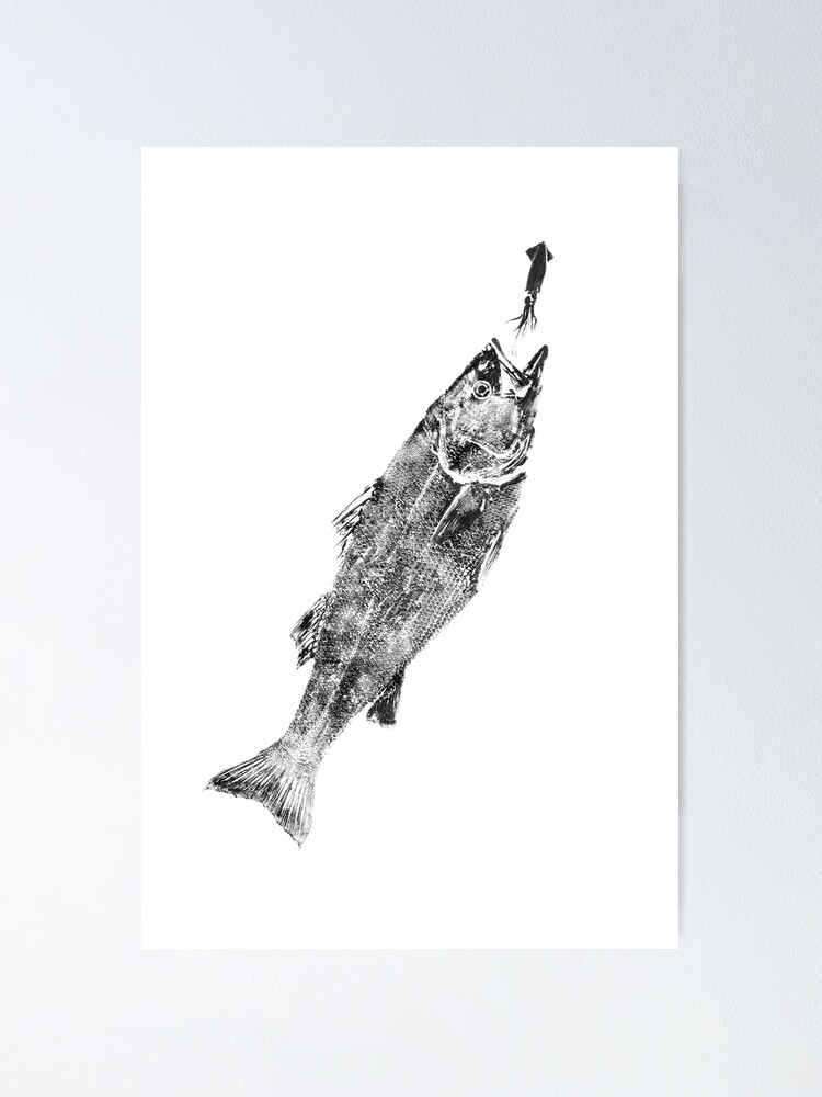 "Striped Bass Eating Squid Fish Print" Poster by ReelPrints Redbubble