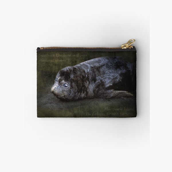 Item preview, 2 week old seal pup - elephant seal pup, Macquarie Island designed and sold by Trish Hart.
