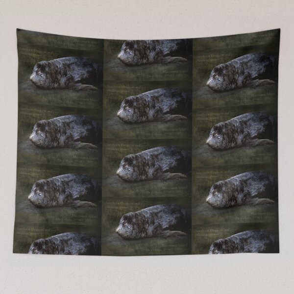 Item preview, 2 week old seal pup - elephant seal pup, Macquarie Island designed and sold by Trish Hart.