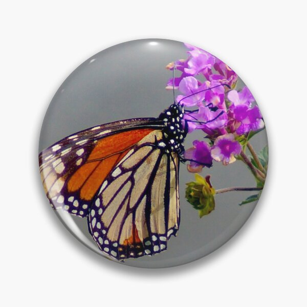 Item preview, Monarch Butterfly on Pink Lantana designed and sold by Kathryn Mulkey.