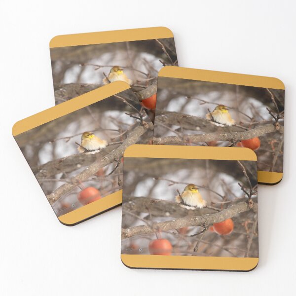 Item preview, American Goldfinch in Winter designed and sold by JMcCombie.