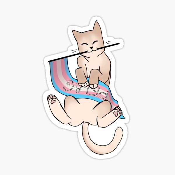 PFLAG MoHo Trans Pride Sticker
