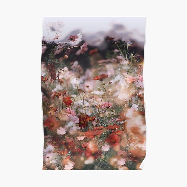 dancing cosmos Poster
